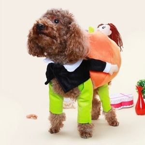 Pumpkin carrier dog costume